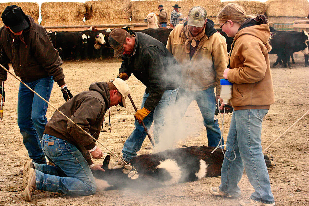 The teens take turns giving vaccinations while younger children watch from the sidelines.&nbsp;&nbsp...