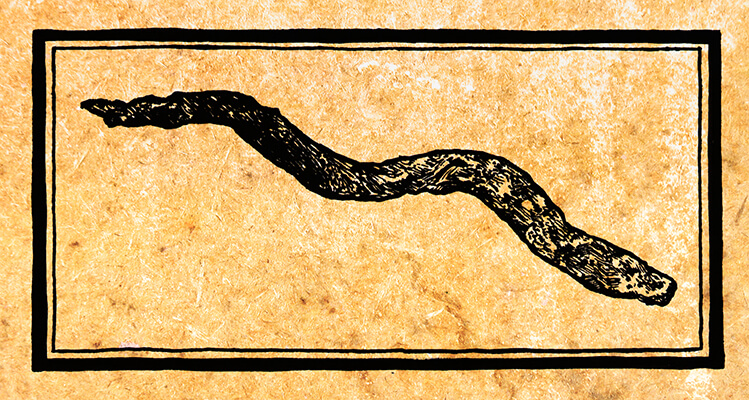 3.30.0236.001digital background