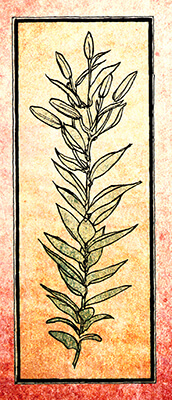 In the Season Thereof