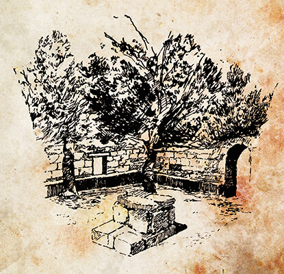 3.30.0253.001digital background