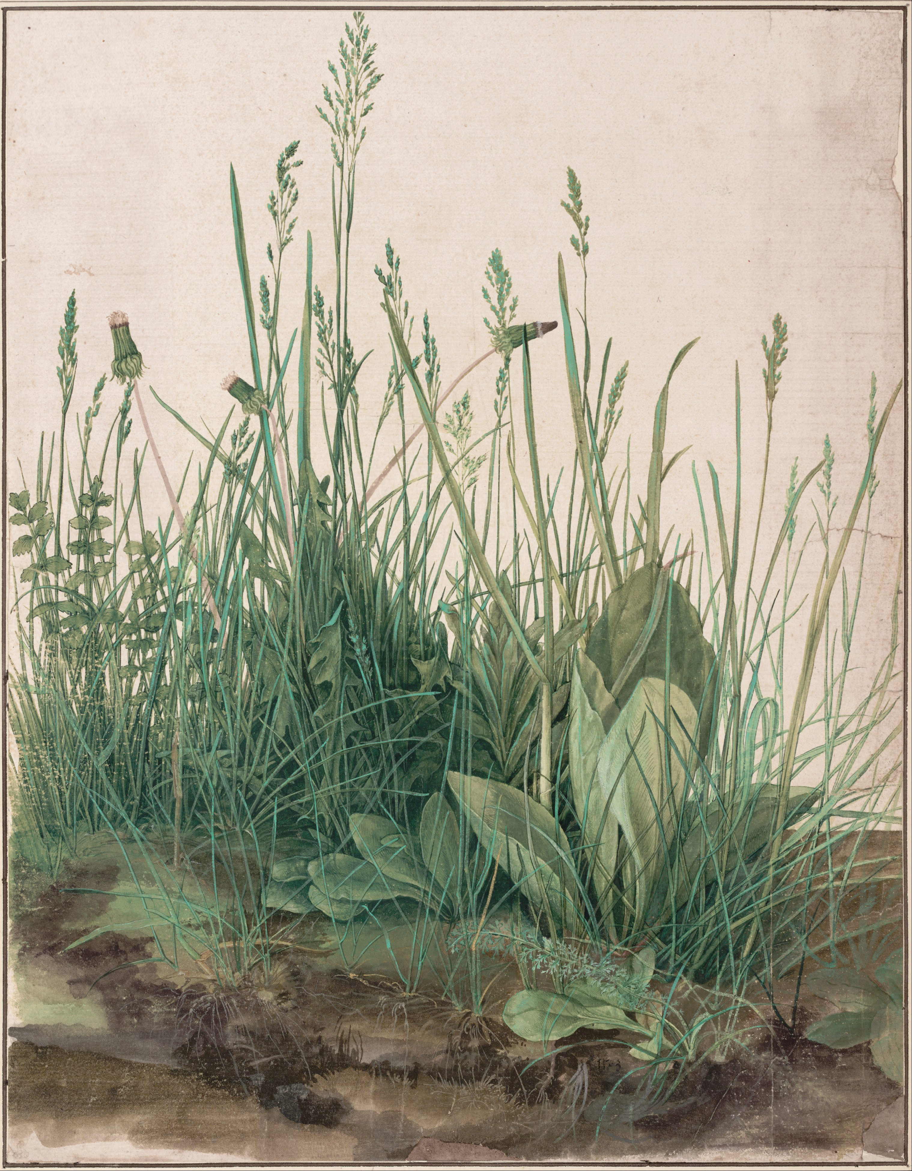 The Great Piece of Turf, by Albrecht D&uuml;rer.