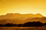 Peaceful Farmland