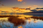 Blue Reflection - 16 x 24 lustre print