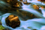 Water Motion - 16 x 24 lustre print