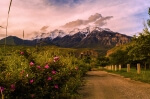 Path to the Canyon - 24 x 36 giclée on canvas (unmounted)