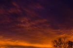 Above the Trees - 20 x 30 lustre print