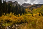 Mountain Brook - 20 x 30 lustre print