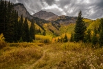 Mountain Path - 40 x 60 giclée on canvas (unmounted)