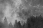 Alpine Mists - 40 x 60 lustre print