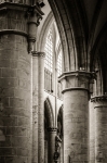 Cathedral Aisle - 24 x 36 giclée on canvas (unmounted)