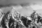 Vertical Forests - 16 x 24 lustre print